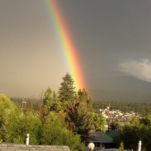 rainbow at flamingo motel