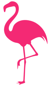 pink flamingo